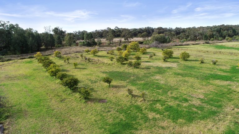 5 bedroom mixed farming property at 88R Narromine Road, Dubbo NSW 2830 - photo 9