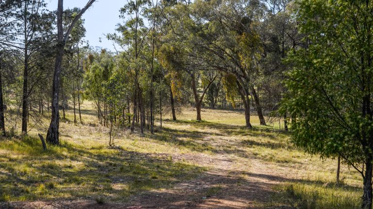 Lifestyle property at 15R Geurie Road, Wongarbon NSW 2831 - photo 2