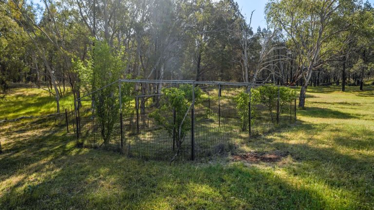 Lifestyle property at 15R Geurie Road, Wongarbon NSW 2831 - photo 12