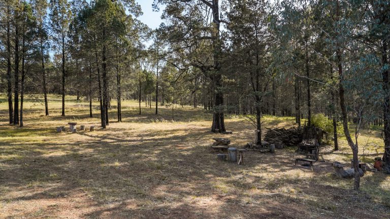 Lifestyle property at 15R Geurie Road, Wongarbon NSW 2831 - photo 13