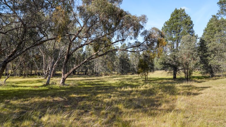 Lifestyle property at 15R Geurie Road, Wongarbon NSW 2831 - photo 3