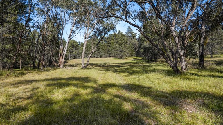 Lifestyle property at 15R Geurie Road, Wongarbon NSW 2831 - photo 4
