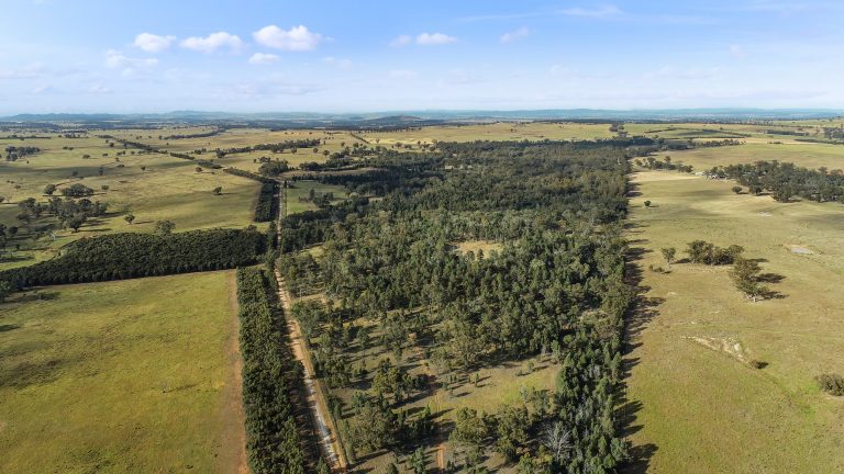 Lifestyle property at 15R Geurie Road, Wongarbon NSW 2831 - photo 6