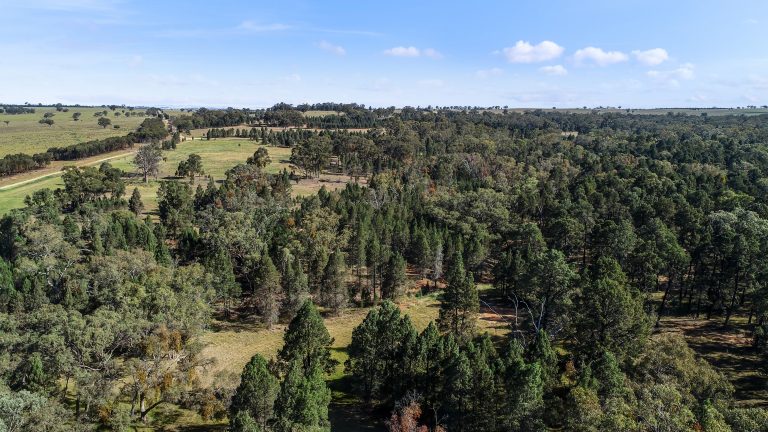 Lifestyle property at 15R Geurie Road, Wongarbon NSW 2831 - photo 9