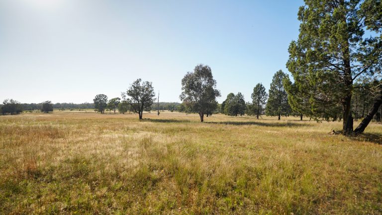 4 bedroom lifestyle property at 7L Mayfield Road, Dubbo NSW 2830 - photo 23