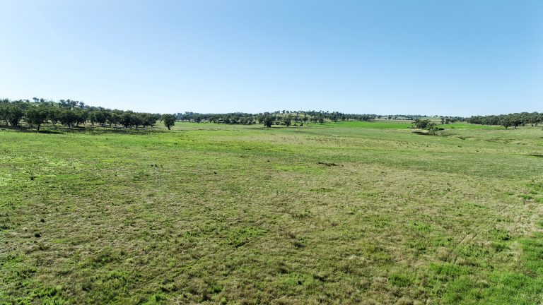 Mixed farming property at 9228 Mitchell Highway, Wellington NSW 2820 - photo 7