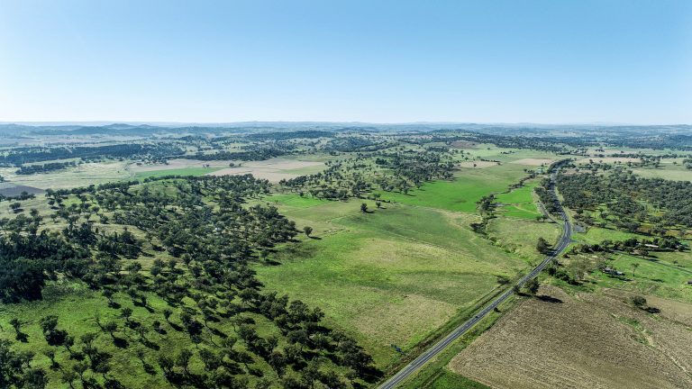 Mixed farming property at 9228 Mitchell Highway, Wellington NSW 2820 - photo 8