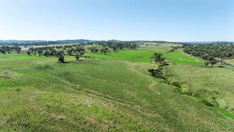 Mixed farming property at 9228 Mitchell Highway, Wellington NSW 2820 - photo 10