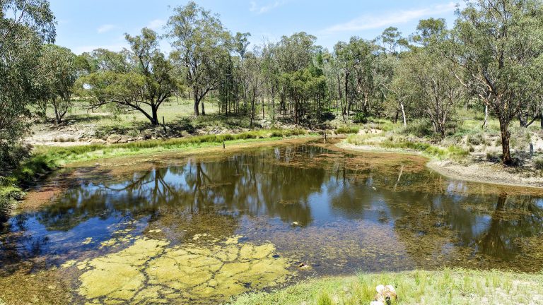 Mixed farming property at 89 Bourke and Halls South Road, Binnaway NSW 2395 - photo 11