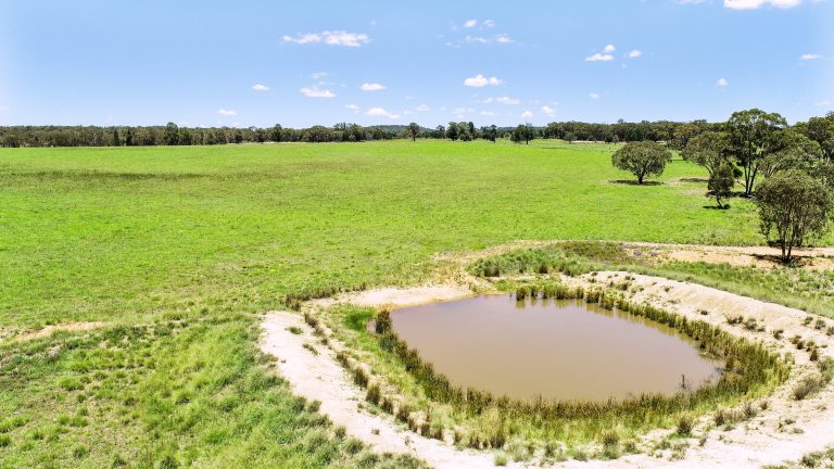 Mixed farming property at 89 Bourke and Halls South Road, Binnaway NSW 2395 - photo 12