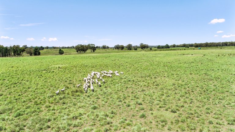 Mixed farming property at 89 Bourke and Halls South Road, Binnaway NSW 2395 - photo 4