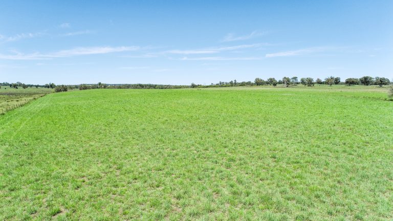 Mixed farming property at 89 Bourke and Halls South Road, Binnaway NSW 2395 - photo 6