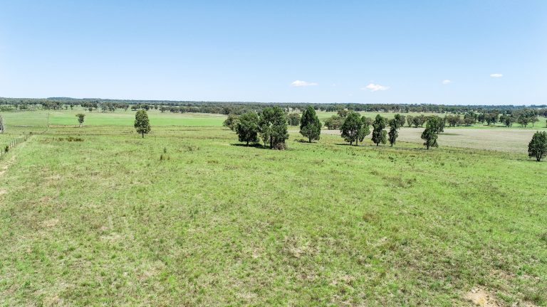 Mixed farming property at 89 Bourke and Halls South Road, Binnaway NSW 2395 - photo 7
