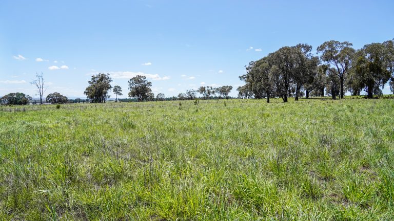 Mixed farming property at 89 Bourke and Halls South Road, Binnaway NSW 2395