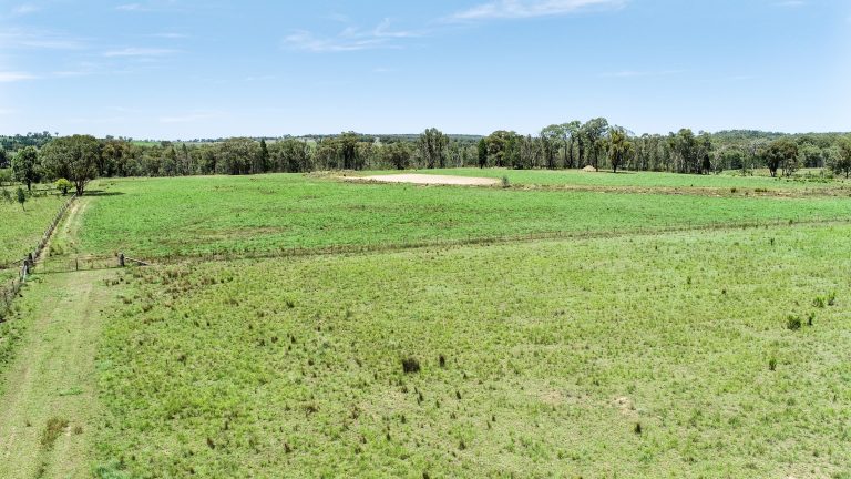 Mixed farming property at 89 Bourke and Halls South Road, Binnaway NSW 2395 - photo 10