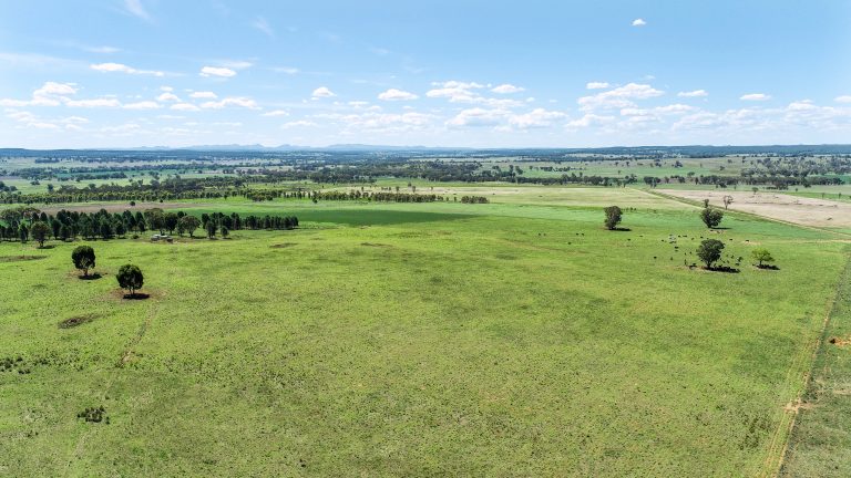 Mixed farming property at 3408 Warrumbungle Way, Binnaway NSW 2395 - photo 11