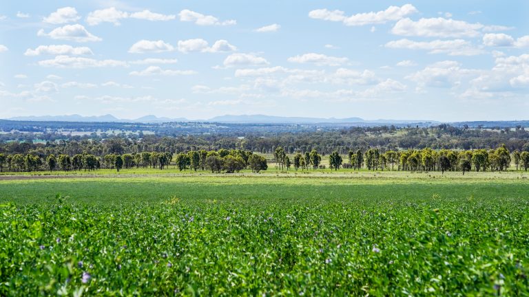 Mixed farming property at 3408 Warrumbungle Way, Binnaway NSW 2395 - photo 8