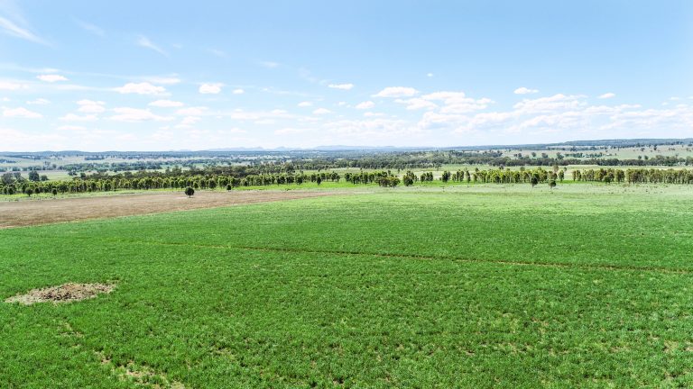 Mixed farming property at 3408 Warrumbungle Way, Binnaway NSW 2395 - photo 9