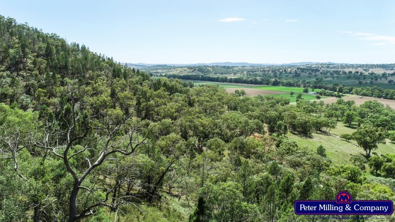 Lifestyle property at 619 Mountain Valley Road, Wellington NSW 2820 - photo 6