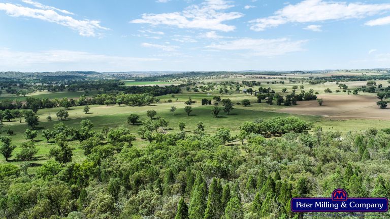 Lifestyle property at 619 Mountain Valley Road, Wellington NSW 2820 - photo 7