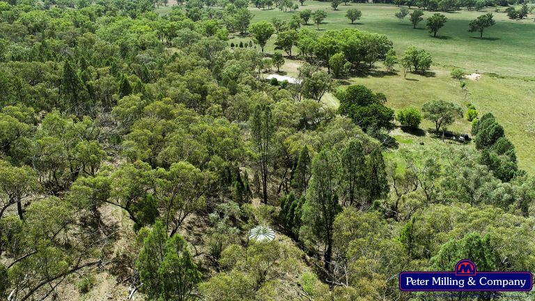 Lifestyle property at 619 Mountain Valley Road, Wellington NSW 2820 - photo 8