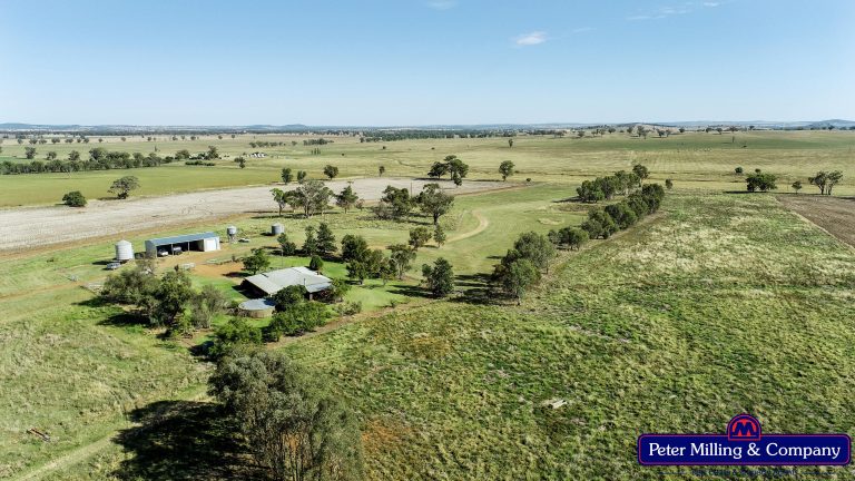 3 bedroom lifestyle property at 677 Zaias Lane, Geurie NSW 2818 - photo 6