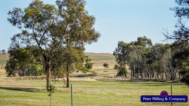 3 bedroom lifestyle property at 677 Zaias Lane, Geurie NSW 2818 - photo 8