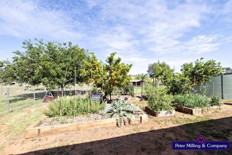 3 bedroom house at 662 Ponto Falls Road, Maryvale NSW 2820 - photo 21
