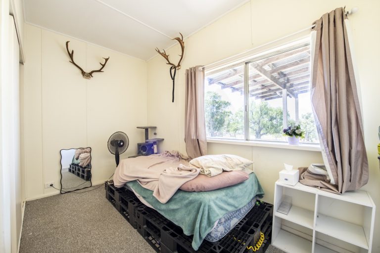 5 bedroom house at 11 Mackeral Street, Mumbil NSW 2820 - photo 6