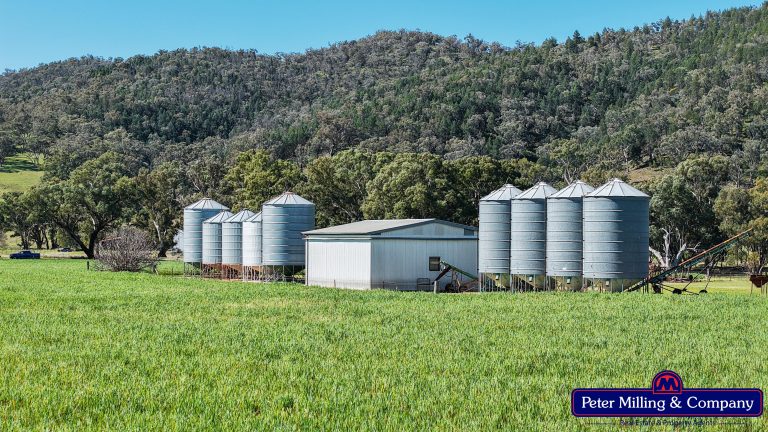 4 bedroom mixed farming property at 'Glenelg' 146 Suntop Road, Wellington NSW 2820 - photo 17