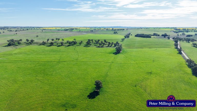4 bedroom mixed farming property at 'Glenelg' 146 Suntop Road, Wellington NSW 2820 - photo 15