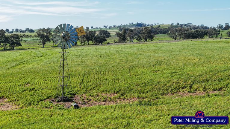 4 bedroom mixed farming property at 'Glenelg' 146 Suntop Road, Wellington NSW 2820 - photo 9