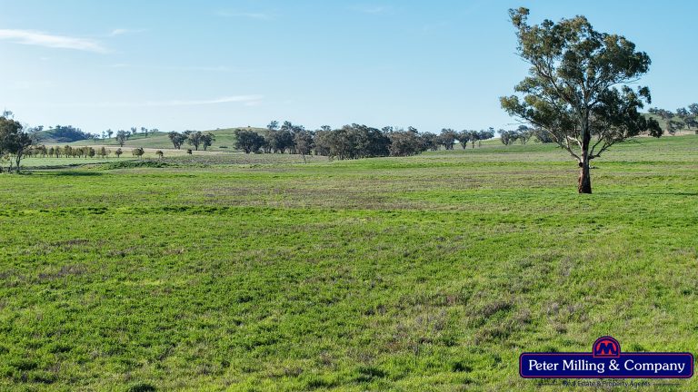 4 bedroom mixed farming property at 'Glenelg' 146 Suntop Road, Wellington NSW 2820 - photo 6