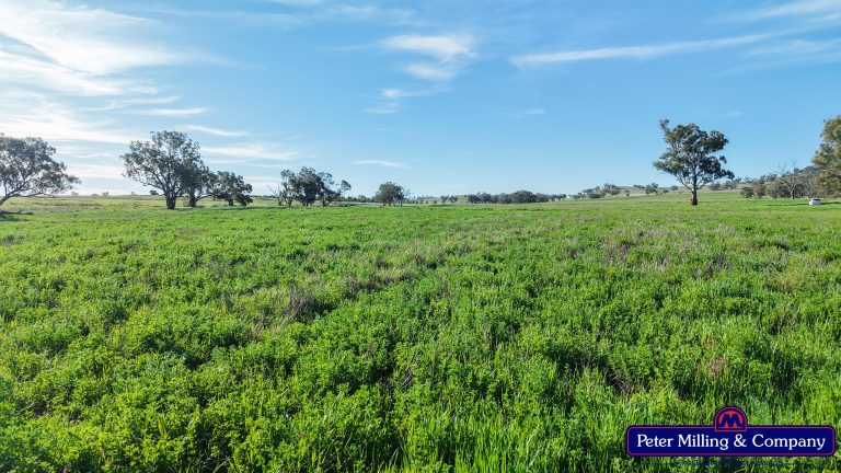 4 bedroom mixed farming property at 'Glenelg' 146 Suntop Road, Wellington NSW 2820 - photo 7