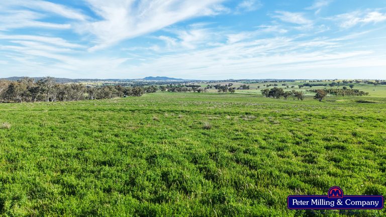 4 bedroom mixed farming property at 'Glenelg' 146 Suntop Road, Wellington NSW 2820 - photo 11