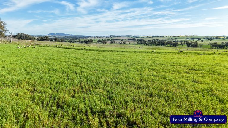 4 bedroom mixed farming property at 'Glenelg' 146 Suntop Road, Wellington NSW 2820 - photo 8