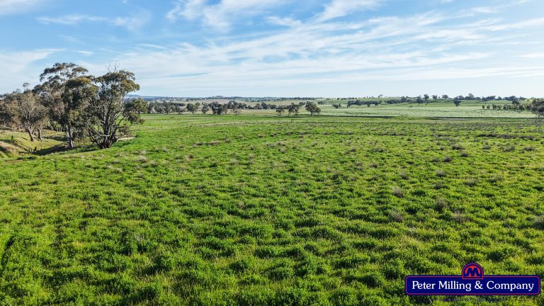 4 bedroom mixed farming property at 'Glenelg' 146 Suntop Road, Wellington NSW 2820