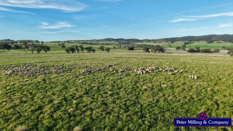 4 bedroom mixed farming property at 'Glenelg' 146 Suntop Road, Wellington NSW 2820 - photo 3