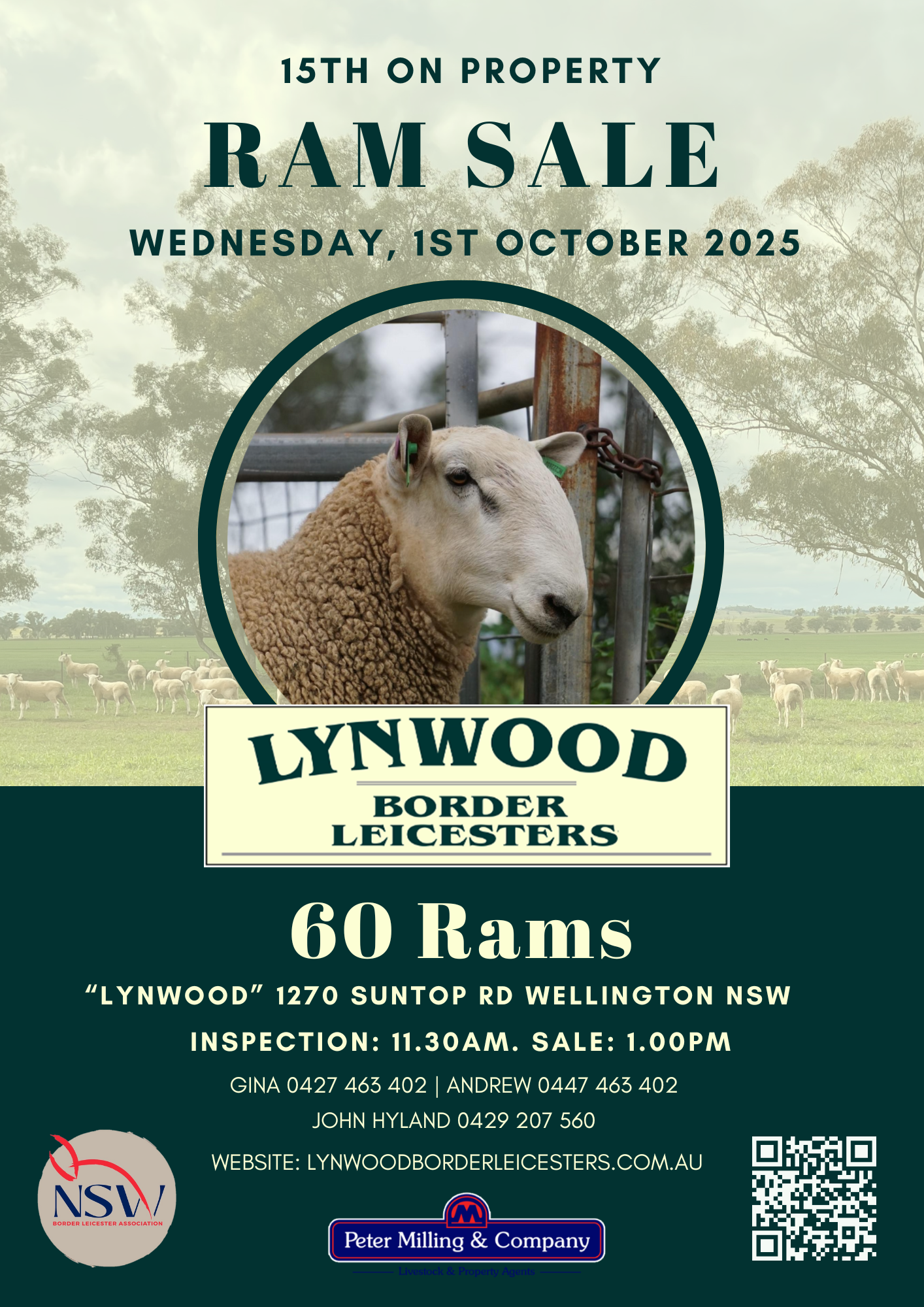 Lynwood Border Leicesters – 15th On Property Ram Sale - Peter Milling & Company