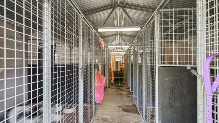 2 bedroom lifestyle property at 360L Obley Road, Dubbo NSW 2830 - photo 15