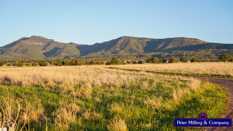4 bedroom mixed farming property at 'Top Walga' 281 Top Walga Road,, Warrumbungle NSW 2828 - photo 3