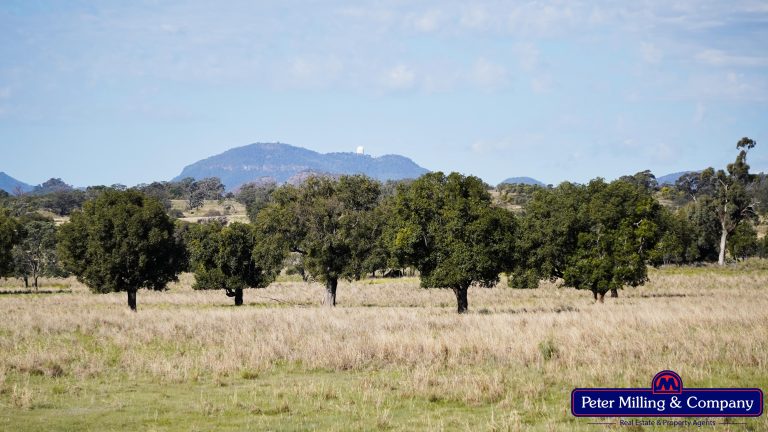 4 bedroom mixed farming property at 'Top Walga' 281 Top Walga Road,, Warrumbungle NSW 2828 - photo 5