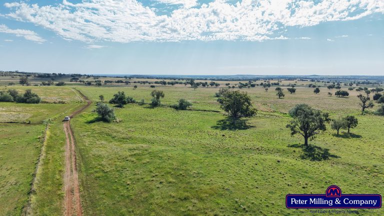 4 bedroom mixed farming property at 'Top Walga' 281 Top Walga Road,, Warrumbungle NSW 2828 - photo 7