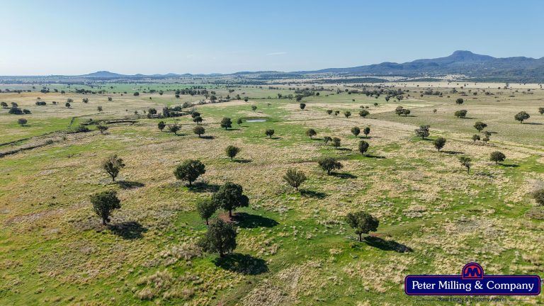 4 bedroom mixed farming property at 'Top Walga' 281 Top Walga Road,, Warrumbungle NSW 2828 - photo 6