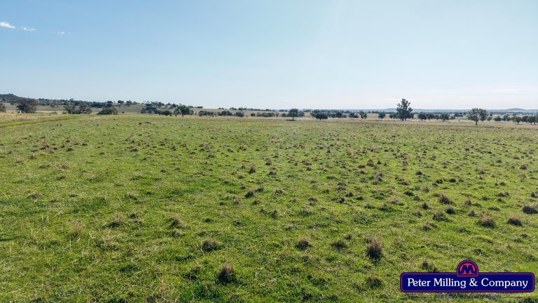 4 bedroom mixed farming property at 'Top Walga' 281 Top Walga Road,, Warrumbungle NSW 2828 - photo 9