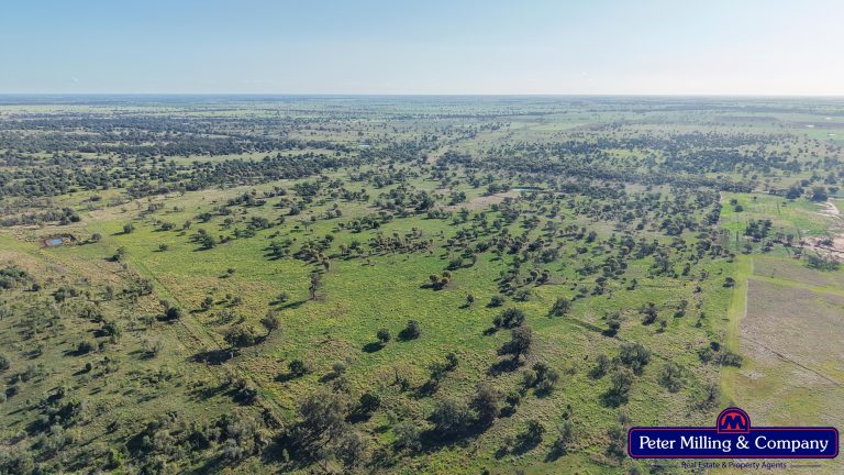 4 bedroom mixed farming property at 'Top Walga' 281 Top Walga Road,, Warrumbungle NSW 2828 - photo 18