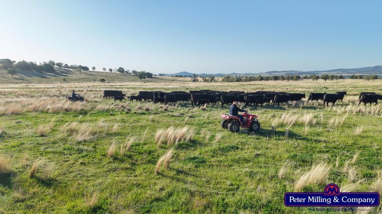 4 bedroom mixed farming property at 'Top Walga' 281 Top Walga Road,, Warrumbungle NSW 2828 - photo 15
