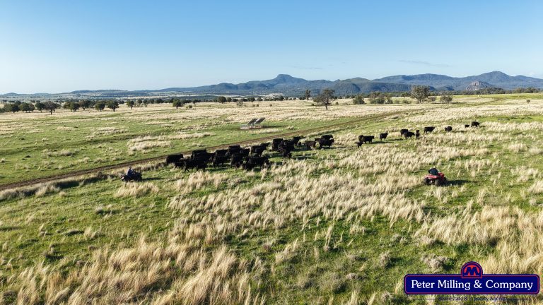 4 bedroom mixed farming property at 'Top Walga' 281 Top Walga Road,, Warrumbungle NSW 2828 - photo 16