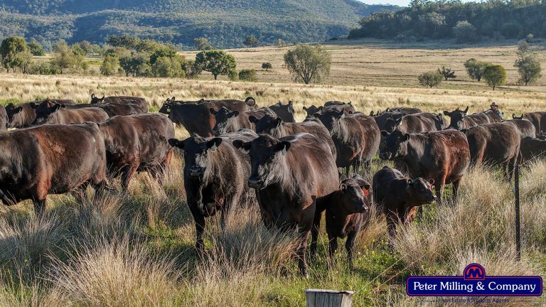 4 bedroom mixed farming property at 'Top Walga' 281 Top Walga Road,, Warrumbungle NSW 2828 - photo 2