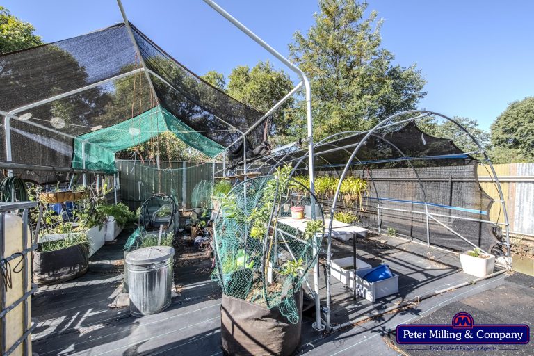 3 bedroom house at 51 Clive Street, Wellington NSW 2820 - photo 19
